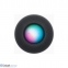 Apple HomePod mini Space Gray (MY5G2) 2
